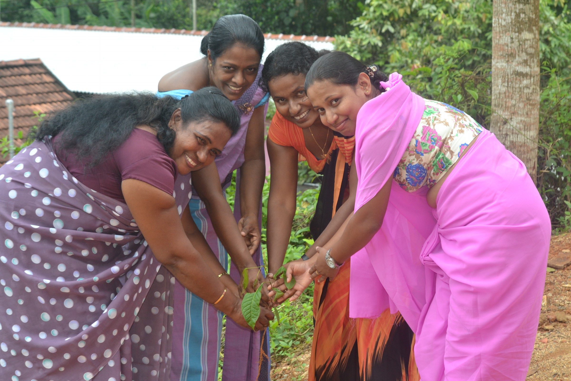 Matara – Warakapitiya Maha Vidayalaya Tree Planting