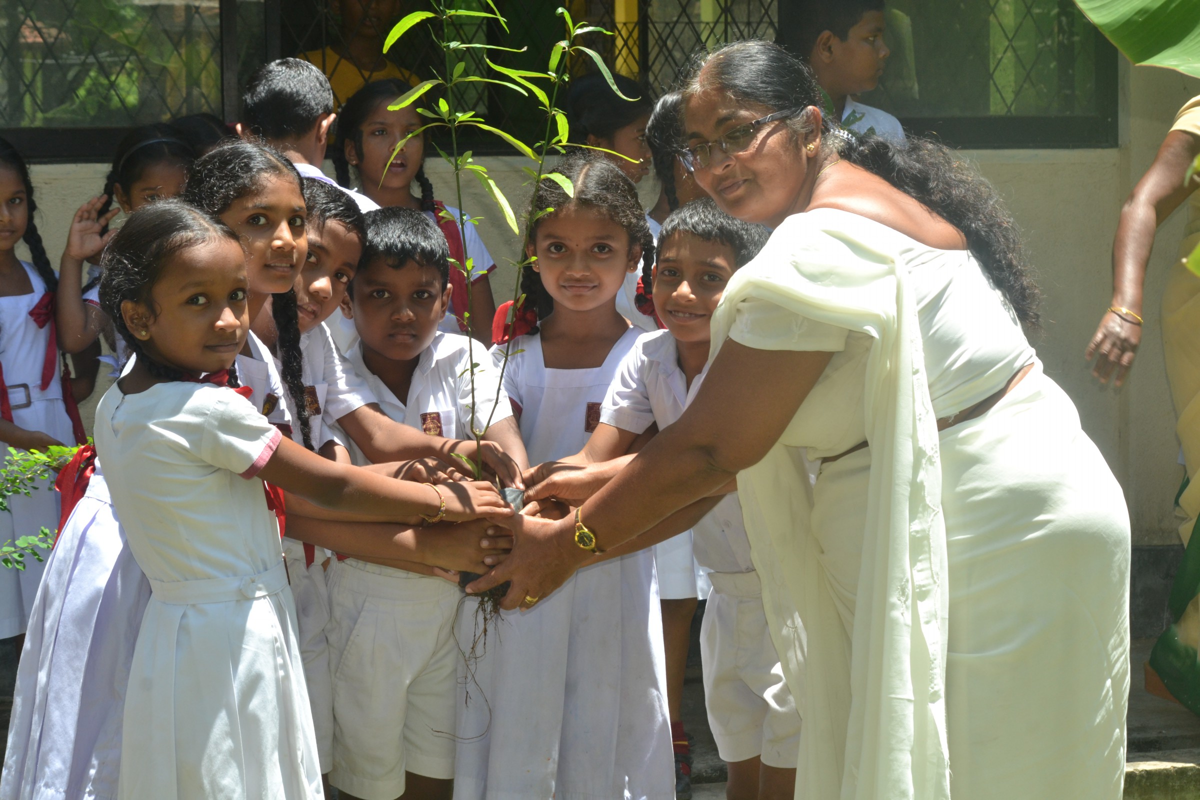 Matara – Weligama Polwaththa Primary School Tree Planting
