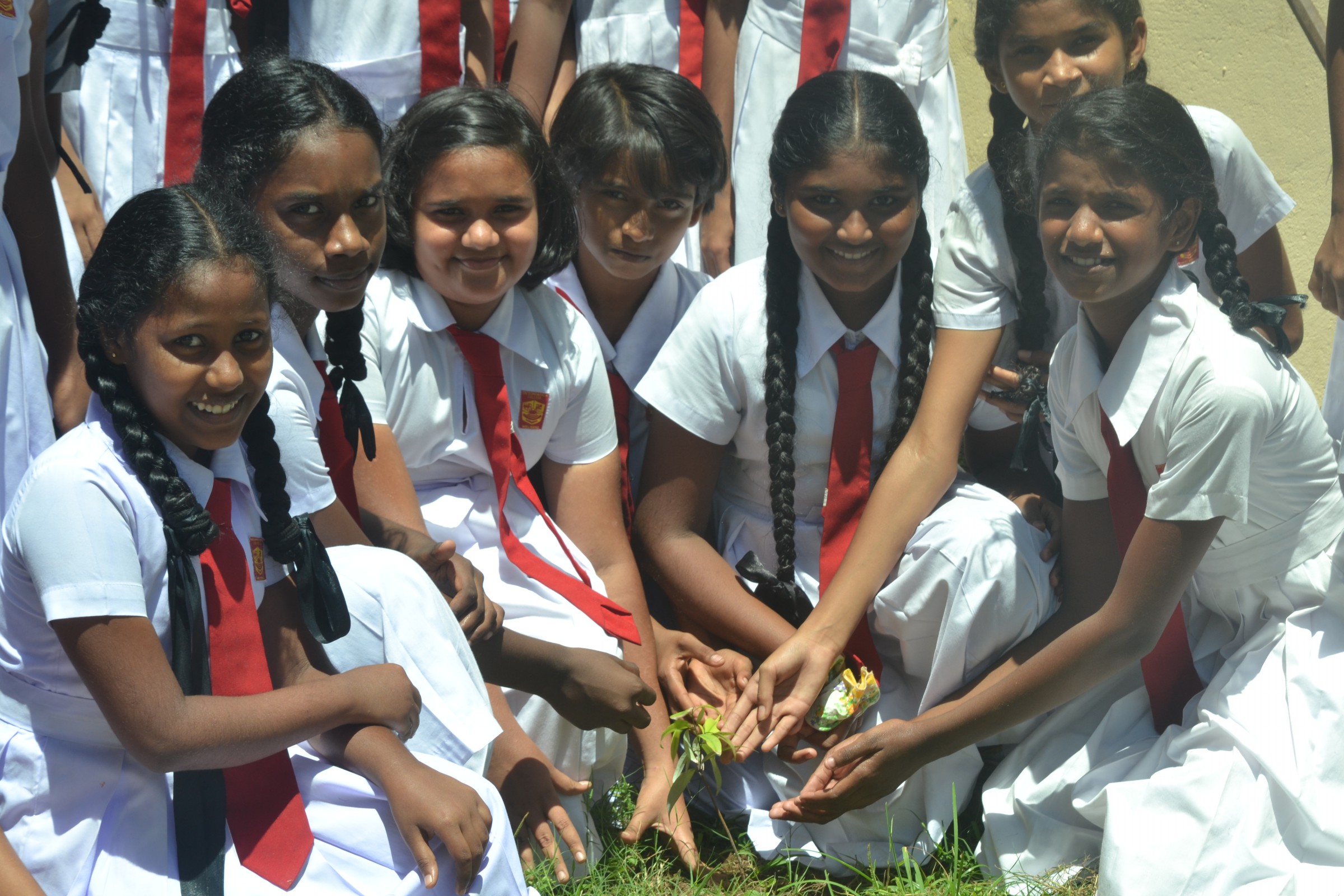 Matara – Weligama Sumangala Girls School Tree Planting