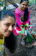 0520a9c7-d6db-4611-943f-3a3bdcc0c623