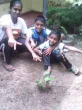 11ff9e47-5158-4248-91a6-73129020543d