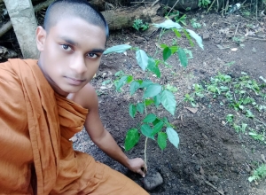 +94 76 218 3727.jpeg