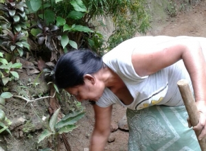 IMG-ca4d94ed0230b2a2bfcb86721c9d6c66-V.jpg