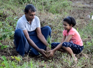 Derana Wenuwen Akuresse Ruk Roopana-Akuressa Ajith (2).jpg