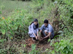 Derana Wenuwen Akuresse Ruk Roopana-Akuressa Ajith (9).jpg