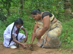 matara warakapitiya maha vidayalaya - 5 wasara - kashmeera pramudi.jpg
