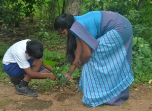 matara warakapitiya maha vidayalaya - 5 wasara - sameera oshan.jpg