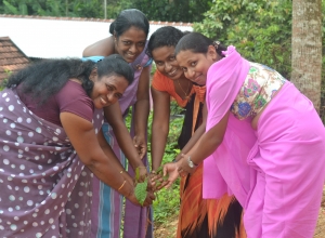 matara warakapitiya maha vidayalaya - pathamika anshaye guruwaru.jpg