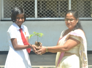 matara, weligama sumangala balika vidayalaya -6 wasara - sathmi sethinda.jpg