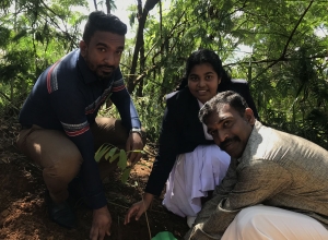 AMITN DALUWATHTHA.JPG