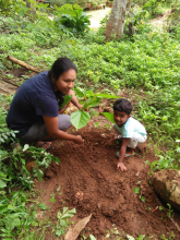 1f2e9c54-c1b5-42f5-a547-f371ebd2574b