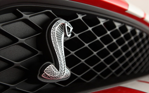 2011_ford_shelby-1920x1200.jpg