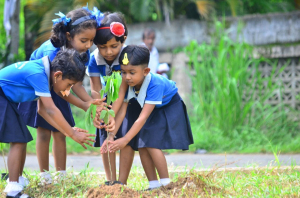 2ced1d97-4178-4da3-ae8d-d54baedf649f