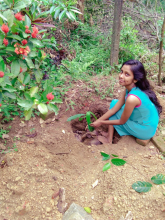 3572c5ea-cdf1-4d74-b429-51d9d64cc894