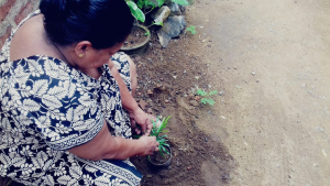 3b8dbdb6-461b-4884-9d3b-88d9b5e8e759