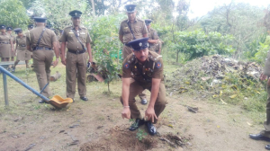 4aff6639-8f3a-4a8b-9833-9a7b659e2584