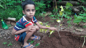 4c5c8c8a-f027-43be-adc4-fe040ef399d4