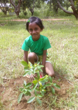 67c30619-c858-4f7d-8489-9742716f69e0