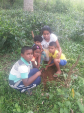 7cf61ad9-4069-4434-a989-d1977a4e0f33