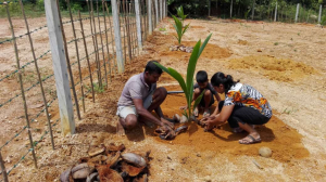 a780a1e4-eec4-4c49-9bf4-19971b11f219