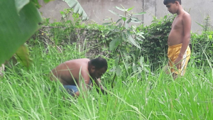 ac7283e2-cc52-4b35-9409-d63f44f7254b