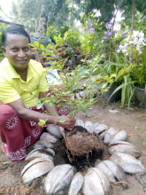 b8e0a51e-3956-4201-9bc6-43127315486e