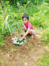 ff98e021-b7d8-4207-960e-be8a16959c1f